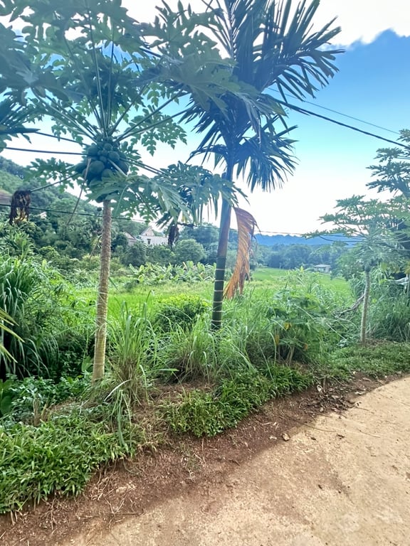 740m2 lô góc 2 mặt tiền có 200m2 ODT tại thị trấn Mãn Đức - Hoà Bình