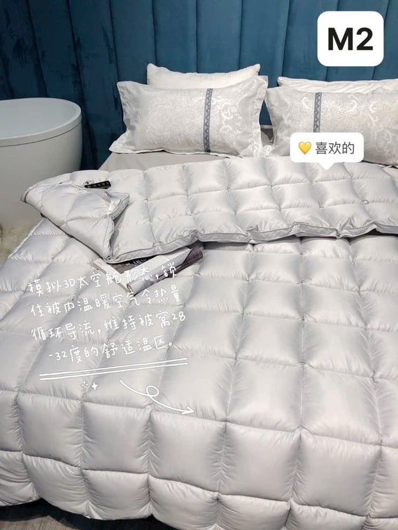 RUỘT CHĂN LÔNG VŨ HILTON NEW 2023