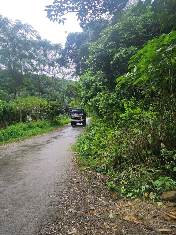 Diện tích 611m2, 80m2 ONT, tặng thêm sổ đất lúa Tại Phú Cường, Tân Lạc, Hòa Bình