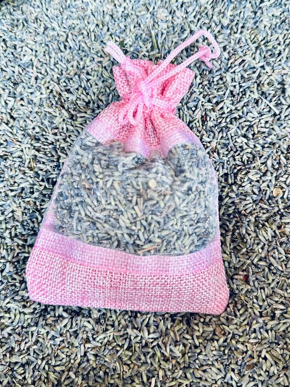 NỤ HOA LAVENDER PHÁP thơm ngào ngạt