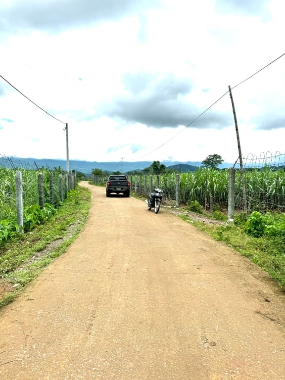 ~ 1400m2 có 200m2 ONT tại Mỹ Hòa, Tân Lạc, Hòa Bình