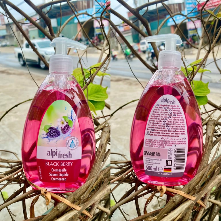 Rửa tay  Alpifres 500ml