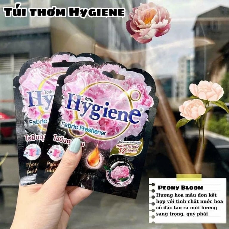 Hygiene túi thơm nước hoa dạng viên cô đặc treo phòng