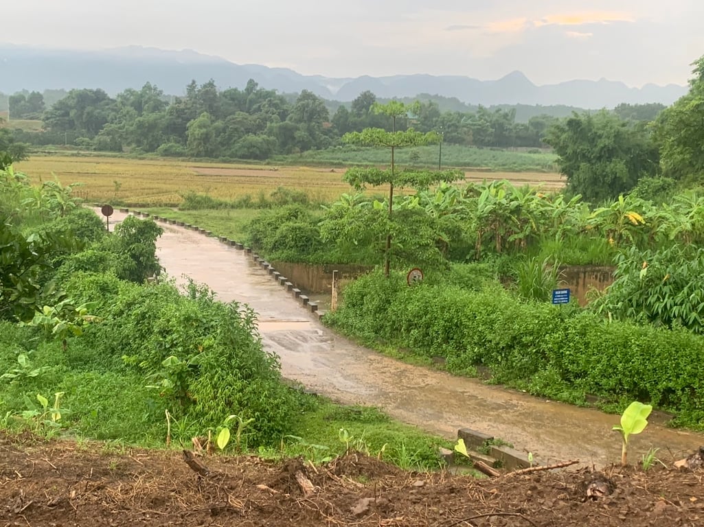 Nghĩa Hoà- Tân Lạc- Hoà Bình(3055m2)