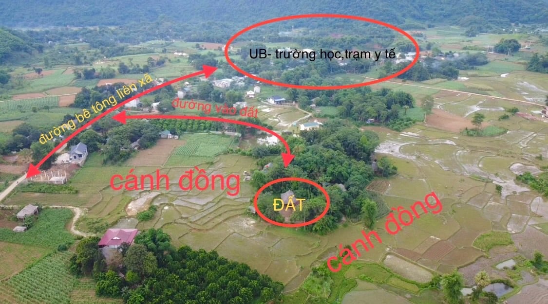 Phú Vinh, Tân Lạc, Hòa Bình. 1019m2