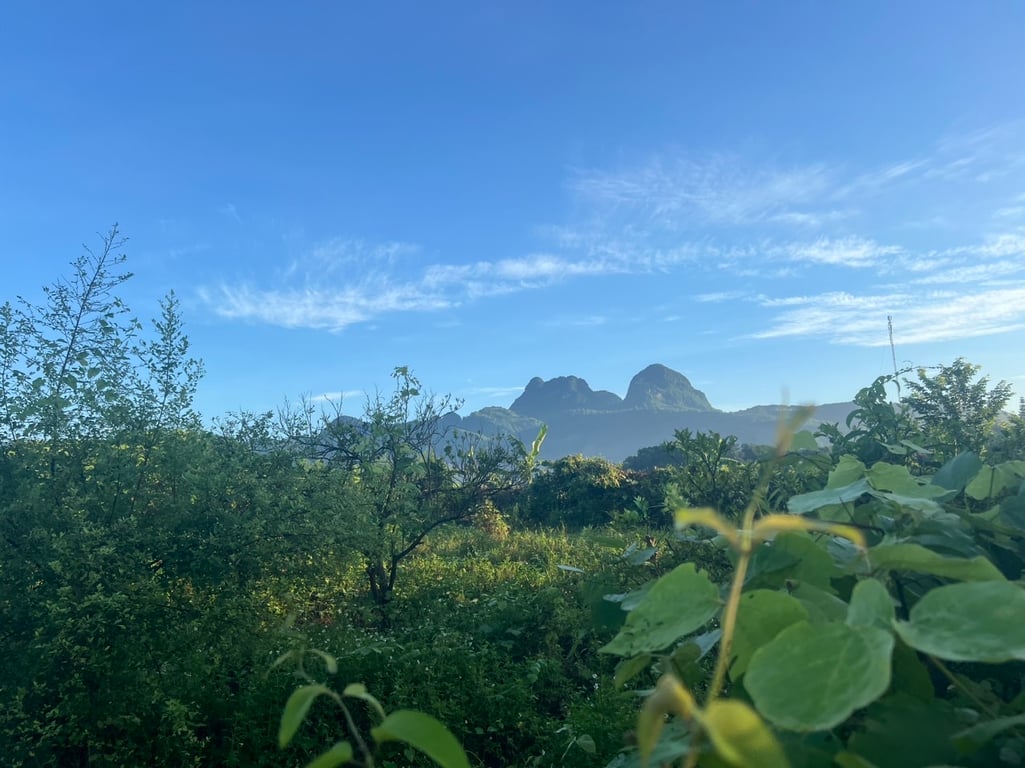 2020m2 có 100m2 tại Bắc Phong, Cao Phong, Hoà Bình