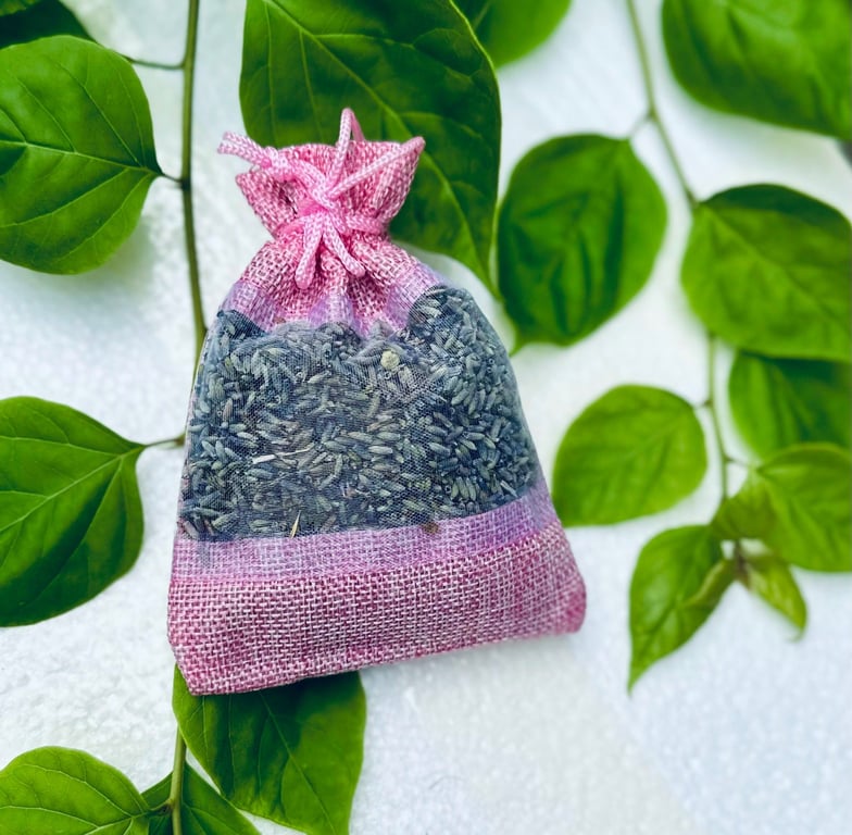 NỤ HOA LAVENDER PHÁP thơm ngào ngạt