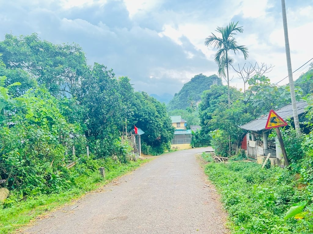 Nhân Mỹ- Tân Lạc- Hoà Bình (496m2)