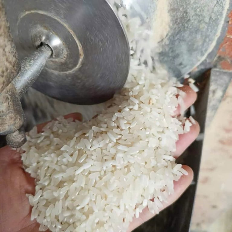 Gạo Séng Cù Điện Biên túi 10kg