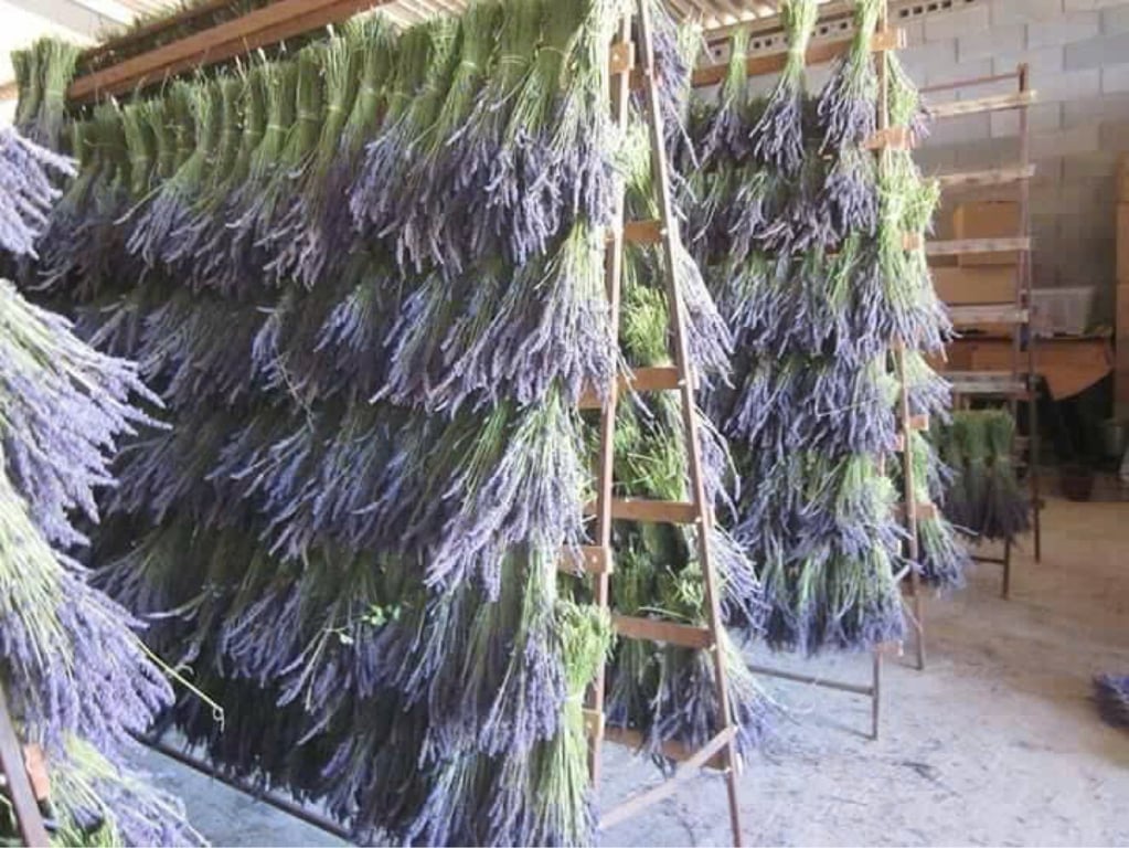 6 TÚI THƠM LAVENDER