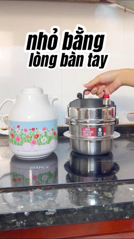 Nồi áp suất 2GOOD mini M1 2L