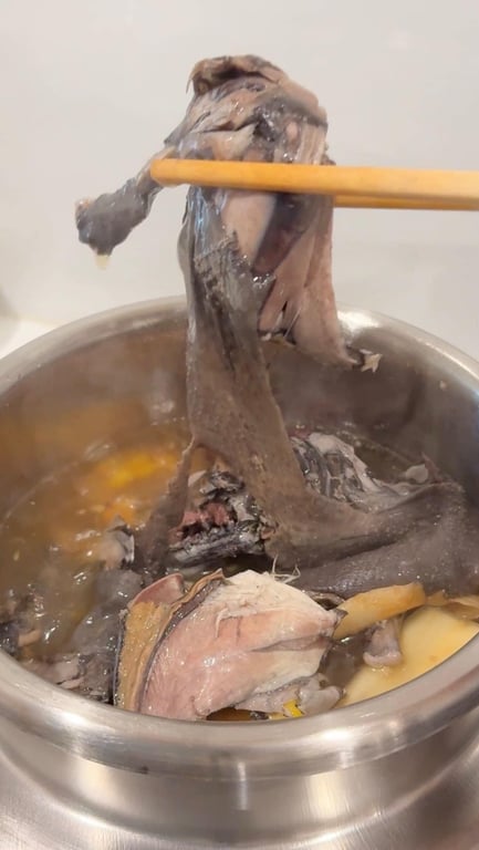 Nồi áp suất 2GOOD mini M1 2L