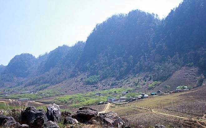 Vân Hồ - Sơn La (1500m2)