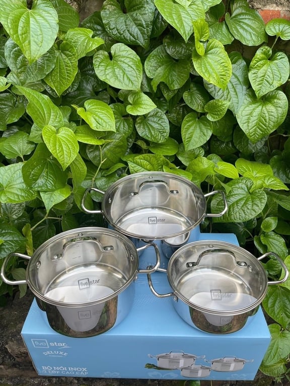 Bộ nồi  inox liền khối cao cấp Fivestar Plus - FPB3003