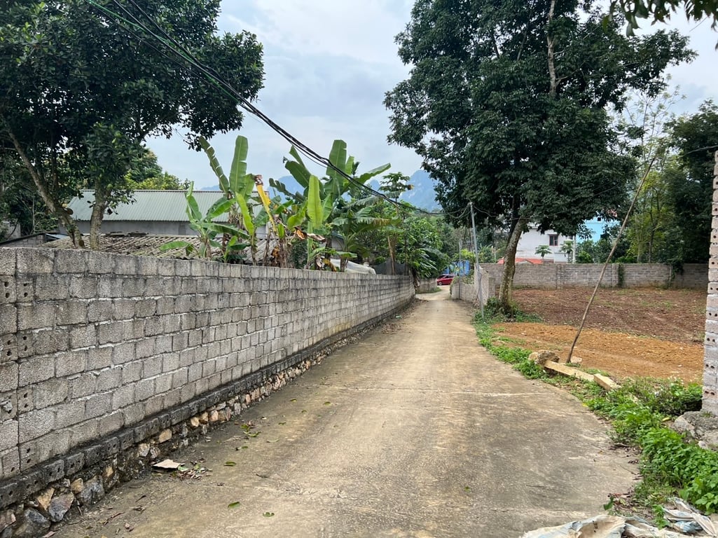 277m full Thổ Cư tại Lương Sơn, Hoà Bình