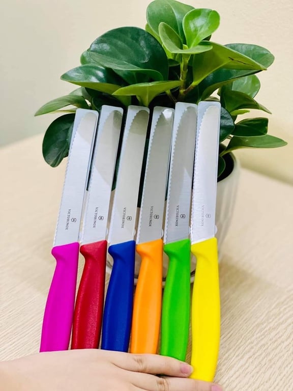 DAO VICTORINOX THUỴ SỸ