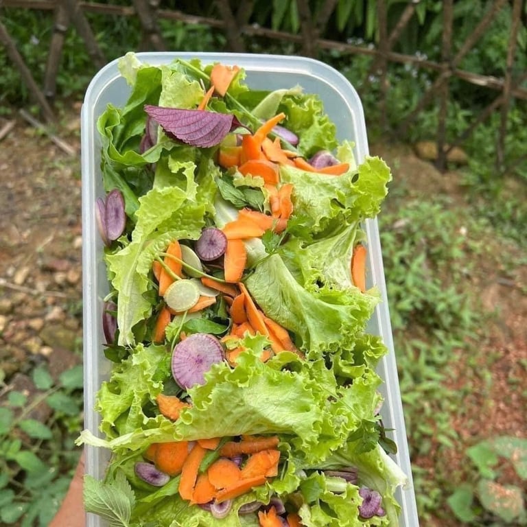 Hộp vensmart tupper 6.5L