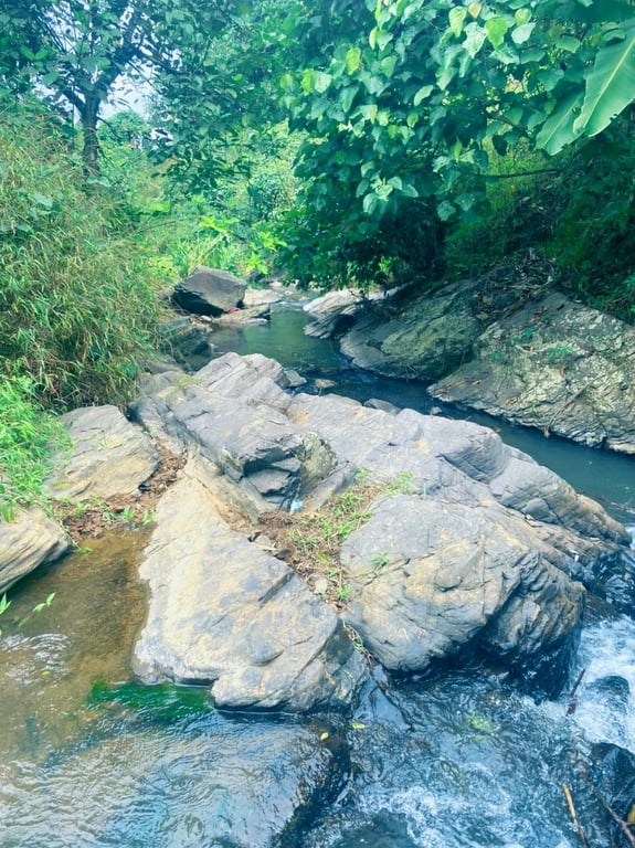 6177m2, 400m2 thổ cư tại Yên Lập, Cao Phong, Hoà Bình