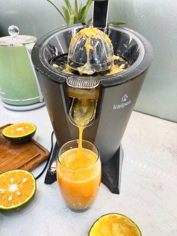 MÁY VẮT CAM KALPEN CJK-2682