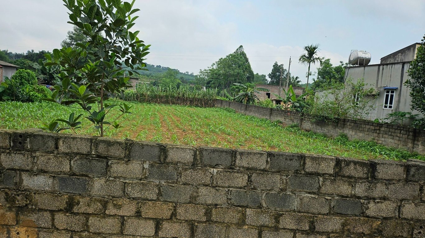 Thanh Sơn Lương Sơn, Hòa Bình -663.5m2 full thổ cư