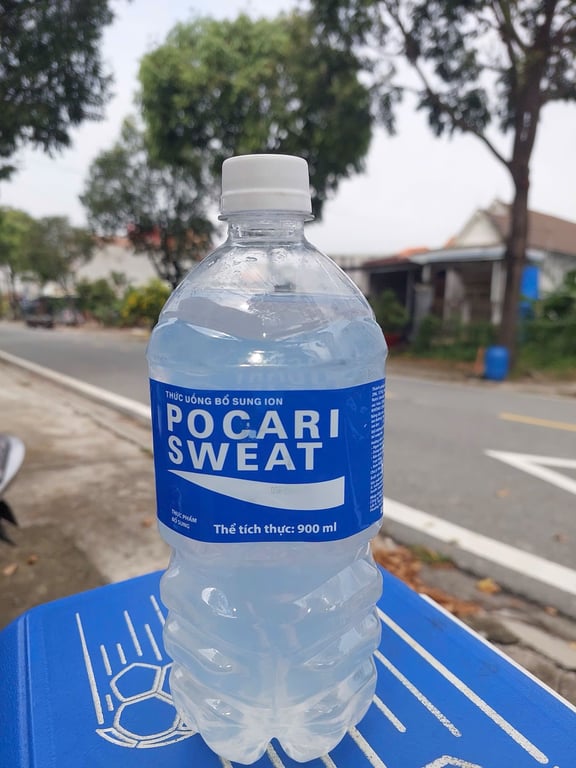 Pocari chai 350ml lốc/6c thùng 24c