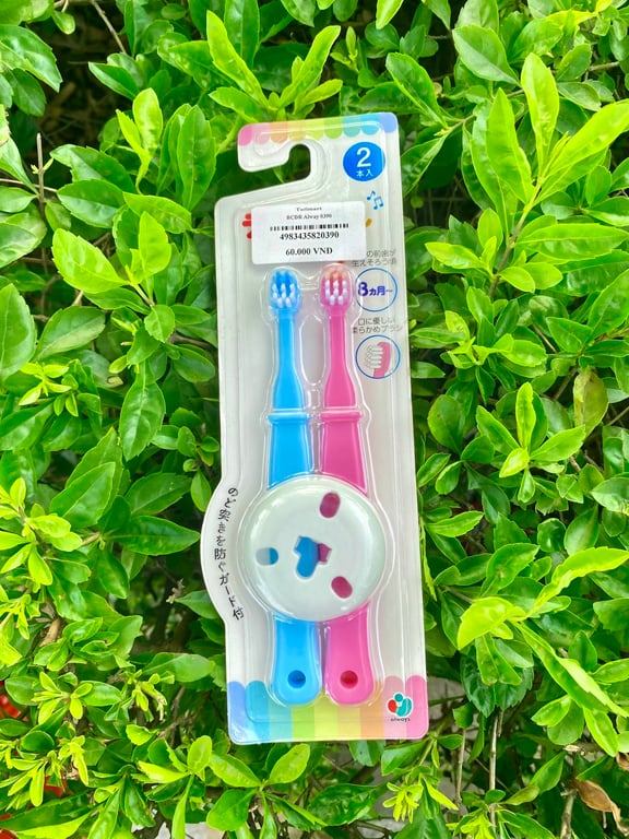 bàn chải đánh răng Alway