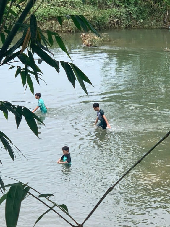 561m2 có 200m2 thổ cư tại Lỗ Sơn, Tân Lạc, Hoà Bình chỉ 4xx triệu