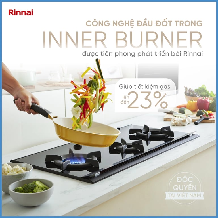 BẾP GAS ÂM RINNAI RVB-2SCHI(SB)