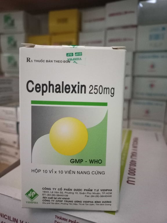 Cephalexin 250mg vidi h/100v
