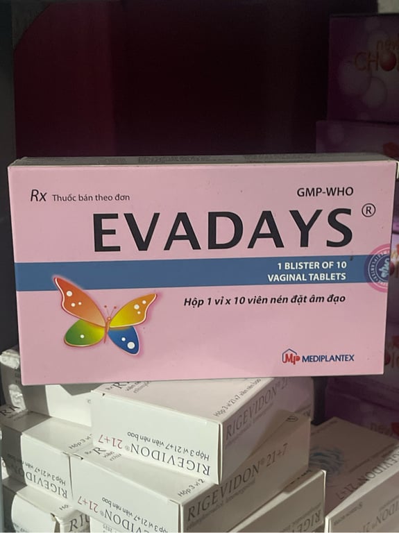 Evaday h/10v đặt