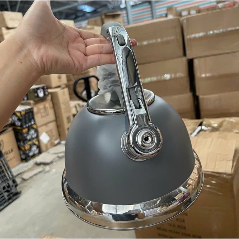 Ấm Đun Nước Inox 304 Kaisa Villa KV-110