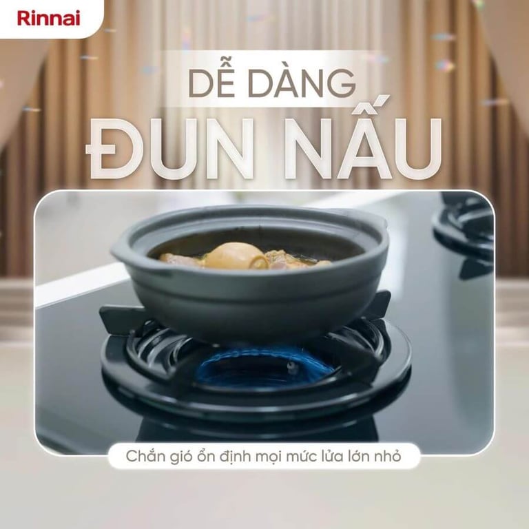 BẾP GAS ÂM RINNAI RVB-2IFE(B)