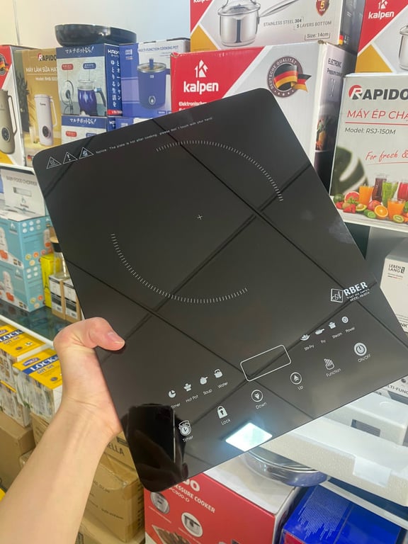 BẾP TỪ ĐƠN ARBER AB301A