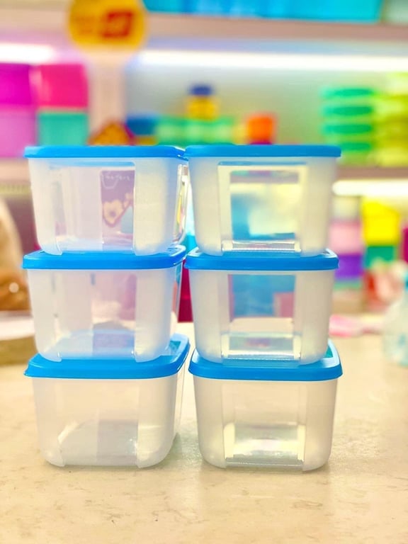 Bộ 6 hộp đông Tupperware Basic Set 650ml