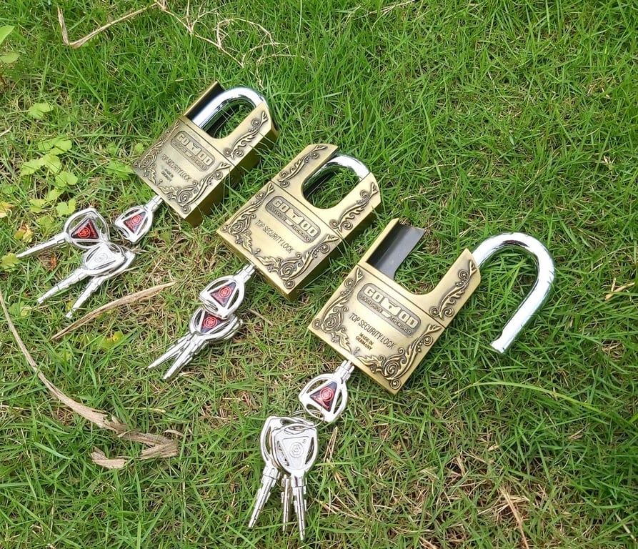 Khoá chống cắt hiệu Đức