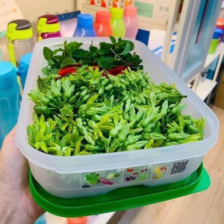 Set 2 Hộp vent 1.8L đỉnh cao trữ rau