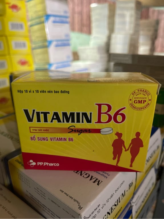 B6 250mg phong Phú h/100v nén