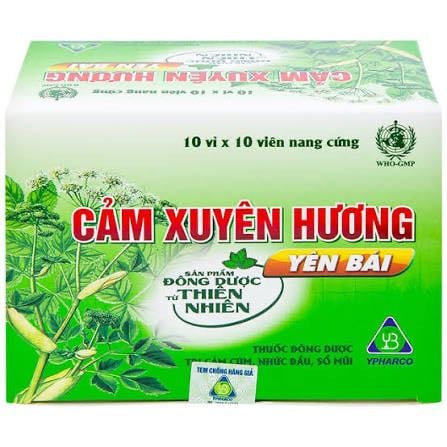 Cảm xuyên hương yên bái h/100v