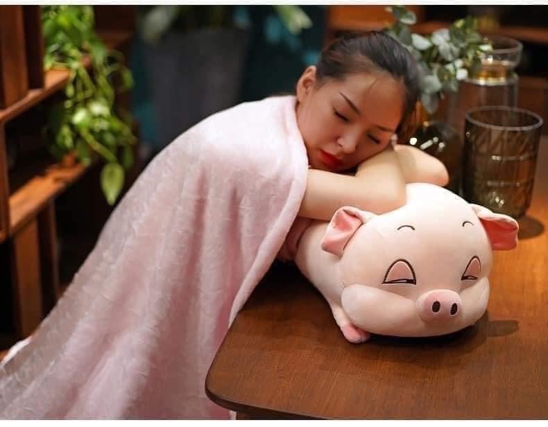 BỘ GỐI LỢN KÈM CHĂN SIÊU MỀM MỊN TO ĐẸP DỄ THƯƠNG