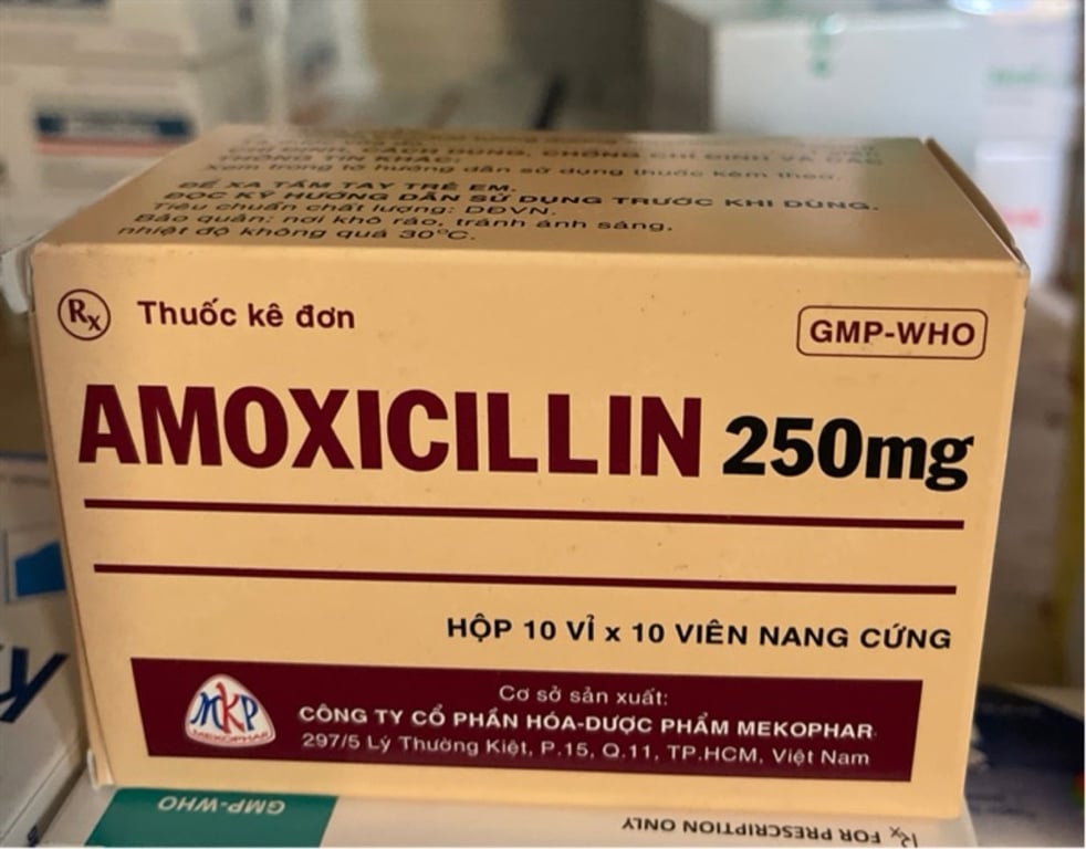 Amoxicillin 250 meko h/100v