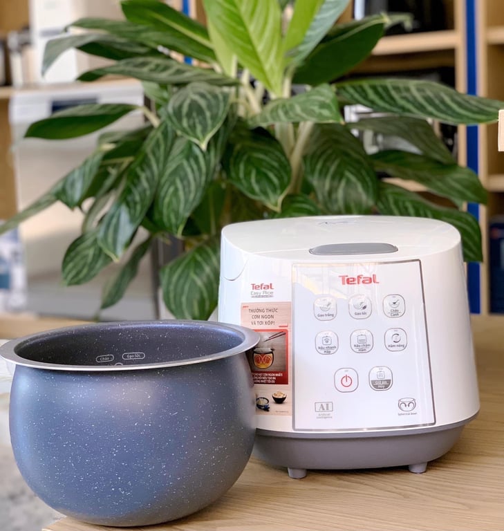 Nồi cơm điện tử Tefal RK733168 1.8l