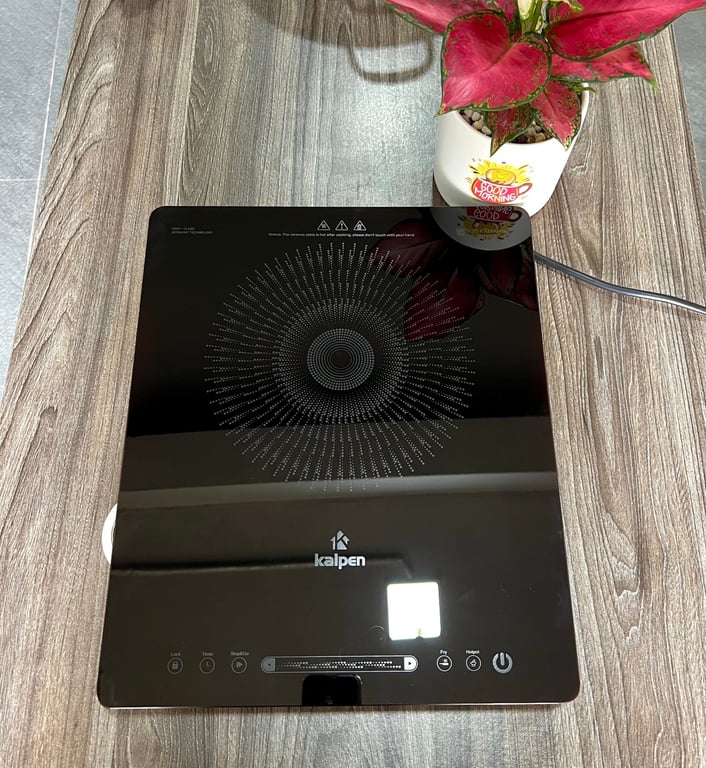 BẾP TỪ ĐƠN CAO CẤP KALPEN ICK-1613