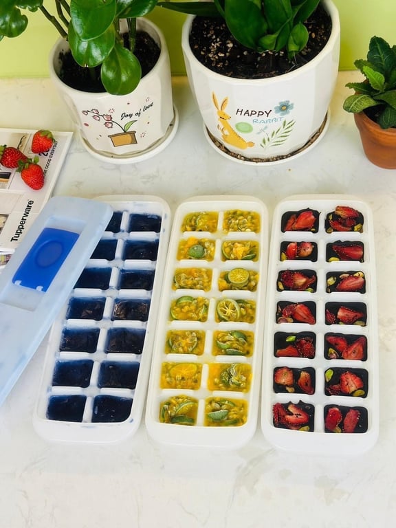 Bộ khay đá presh n pure