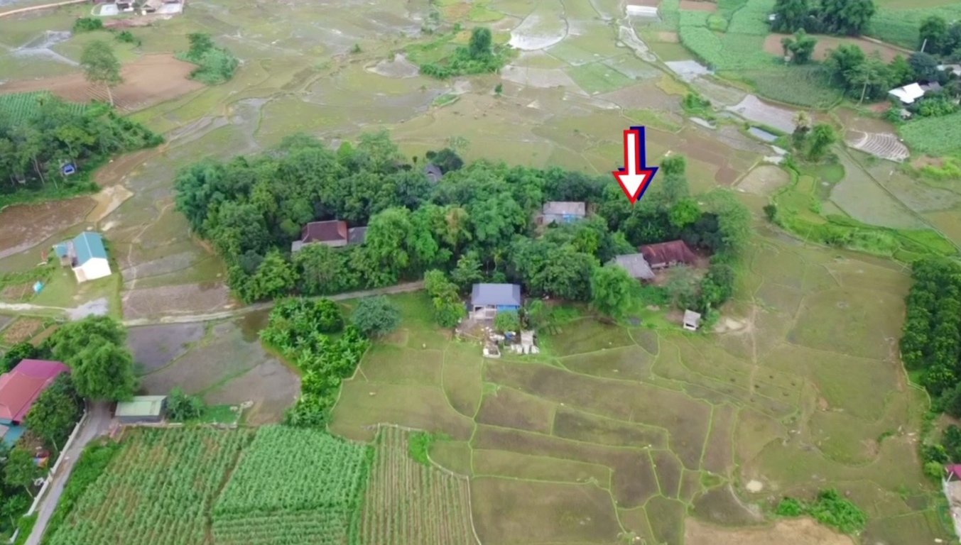 Phú Vinh, Tân Lạc, Hoà Bình 546m2