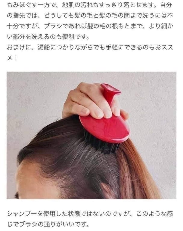 LƯỢC GỘI - MASSAGE DA ĐẦU TSUBAKI BRUSH