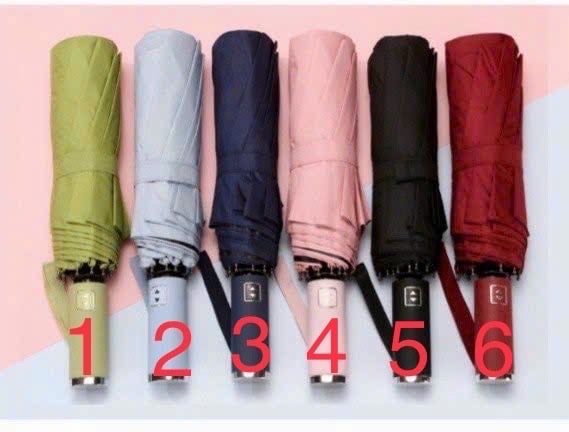 Em về được Ô tự động gập gọn