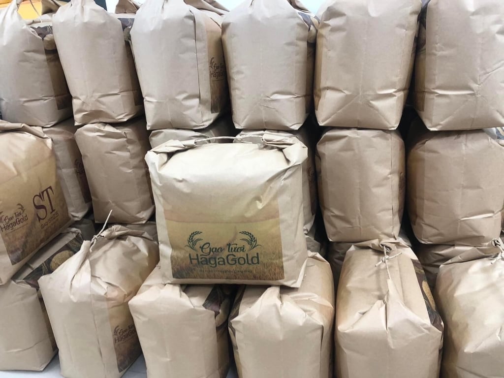 Gạo bắc hương hagagol túi 10kg