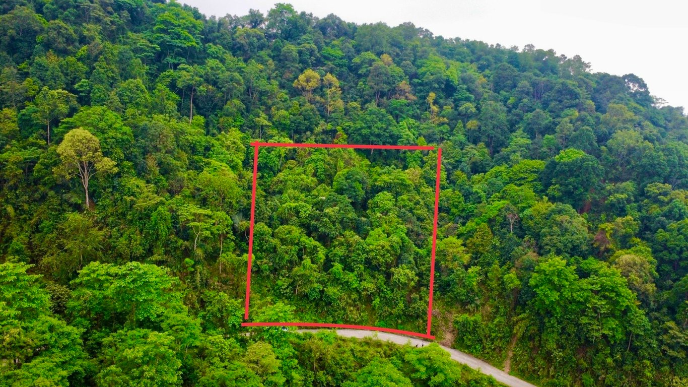 1256m2 đất rừng sản xuất tại Bản Mừng- Cao Phong- Hoà Bình