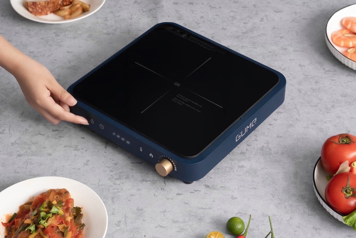 Bếp từ đơn Gume GIC LITE-02