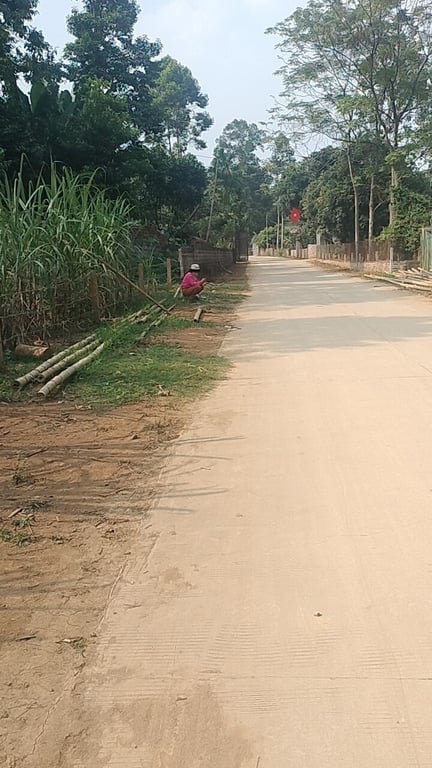 424m2 tại 111m2 ONT Tại Phú Lương, Lạc Sơn, Hoà Bình